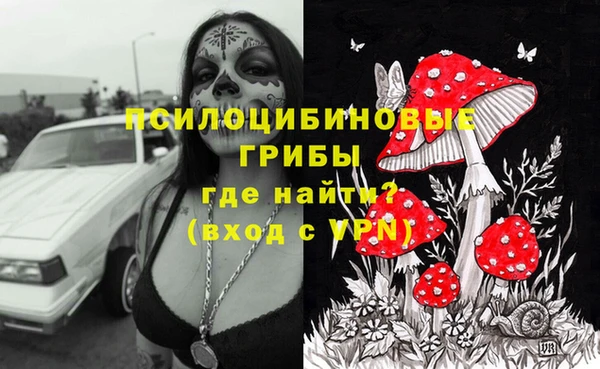 шишки Верхний Тагил