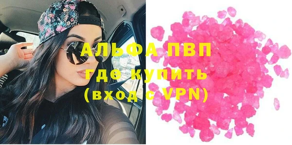 шишки Верхний Тагил