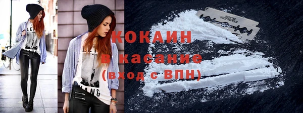 шишки Верхний Тагил