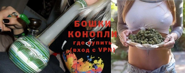 шишки Верхний Тагил