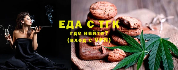 шишки Верхний Тагил