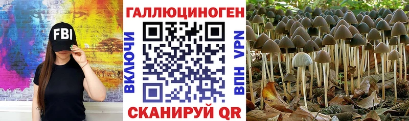 Галлюциногенные грибы прущие грибы  Якутск 